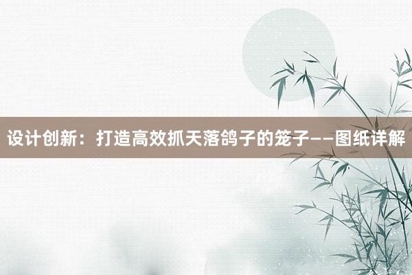 设计创新：打造高效抓天落鸽子的笼子——图纸详解